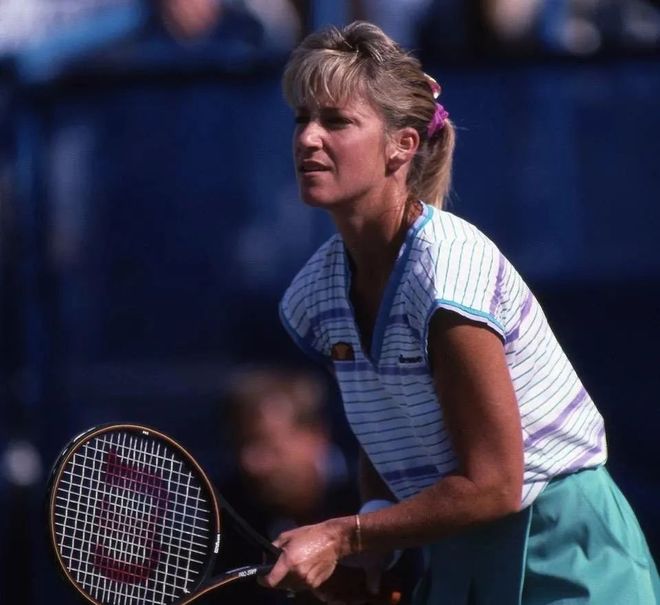 的品质背书 的品质背书